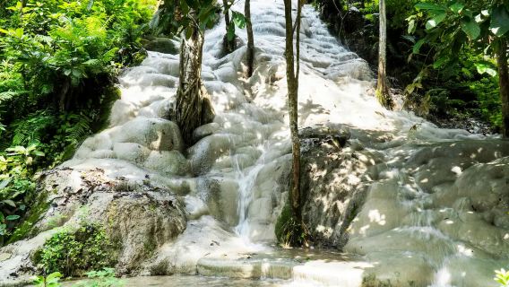 ทัวร์ครึ่งวัน เชียงใหม่ อุทยานแห่งชาติน้ำตกบัวตอง-น้ำพุเจ็ดสี + สวนมูลช้าง [บริการภาษาไทย/จีน]