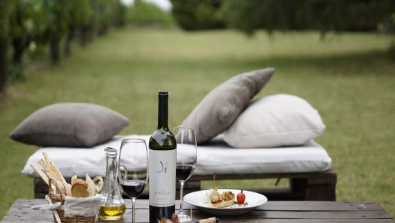 Exclusive Experience at Spinoglio and Pizzorno - Wineries Tour with Lunch