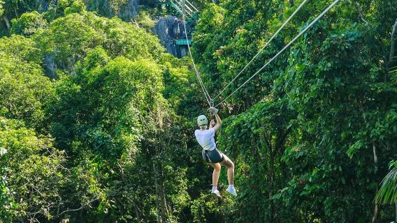 Tirolesa na Floresta de Momi Bay • Exploração de Cavernas • Rapel em Altura • Gigante Adormecido • Atividades ao Ar Livre para Pais e Filhos