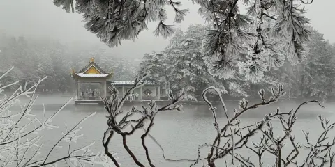 【廬山深度遊】全程陪爬/地陪導覽/導遊講解+專業行程定制