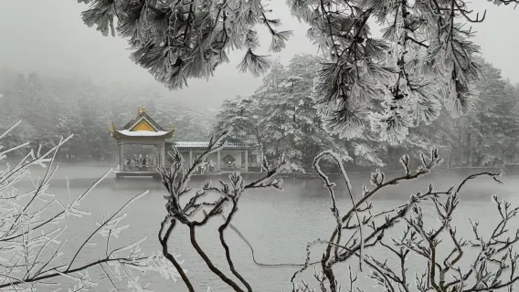 [Lushan in-depth tour] Full climbing accompaniment/local guide tour/guide + professional itinerary customize