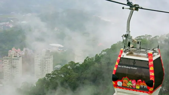 Taipei: Maokong Gondola -päiväpassi + paikallinen kokemus alennuksin