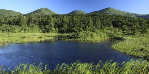 青森來回-奧入瀨溪流+ 十和田湖+ 八甲田山包車遊,行程可調