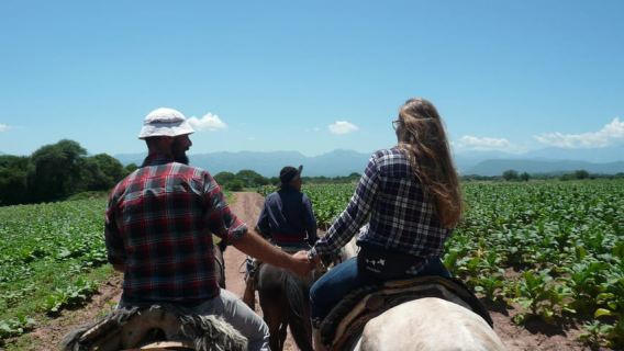 Salta: Gaucho Horseback Ride Experience with BBQ and Snacks