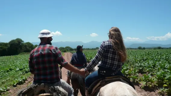 Salta: Gaucho Horseback Ride Experience with BBQ and Snacks