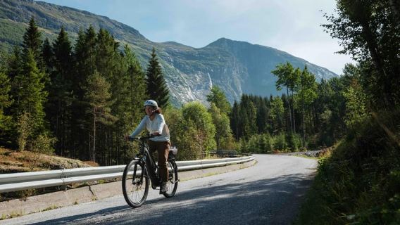 Hellesylt: E-Bike Tour to Helsetkopen & Waterfalls
