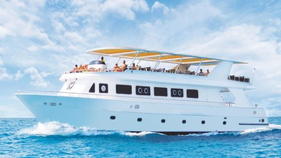 Cairo: Luxury Snorkeling Cruise & lunch with optional pickup