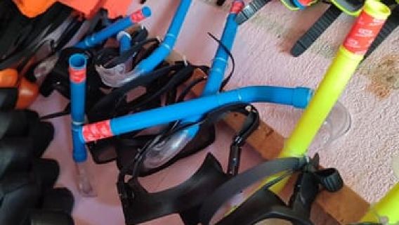 Pigeon Island Snorkeling Trip with Sharks & Turtles