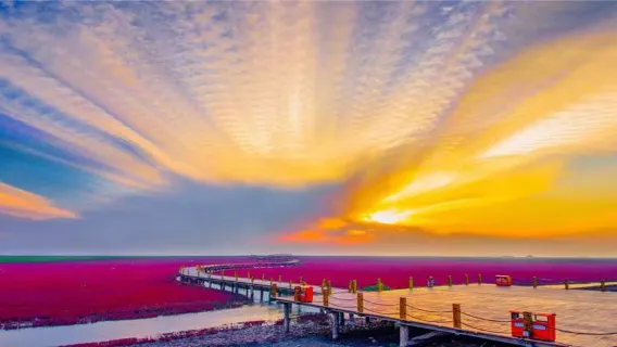 瀋陽出發盤錦紅海灘包車