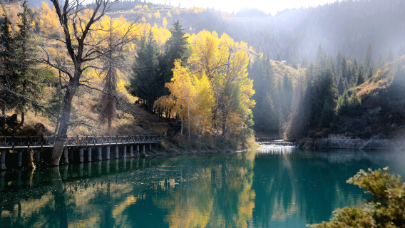 烏魯木齊•天山天池半日遊【8人小團上門接|可選早午班】