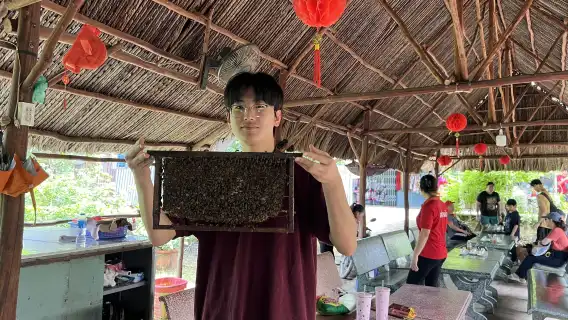 Dari HCM: Lawatan Separuh Hari Terowong Cu Chi + Lawatan Bandar Saigon atau Mekong Delta Pilihan