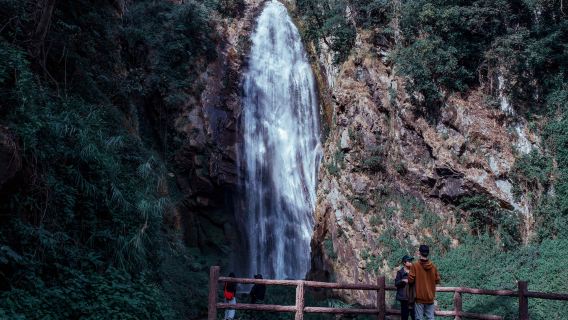 中國雲南騰衝高黎貢山一日遊【百花嶺+龍江特大橋+咖啡莊園】