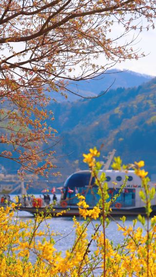 Nami Island + The Garden of Morning Calm One Day Tour (From Seoul)