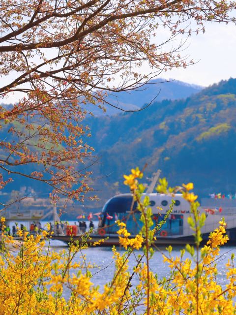 韓國首爾南怡島+晨靜園藝樹木園一日遊 (首爾出發)