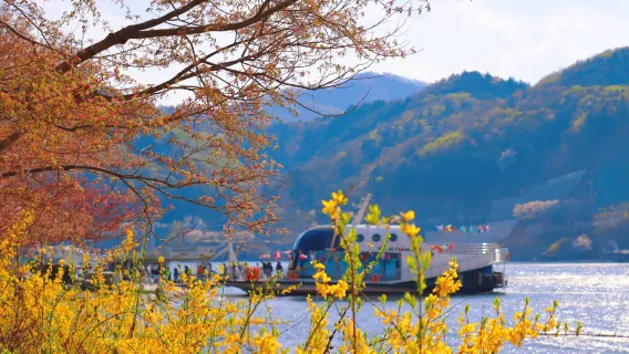 Nami Island + The Garden of Morning Calm One Day Tour (From Seoul)