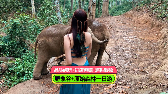 西雙版納日遊