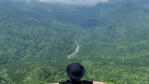 Yakushima 1day SHIRATANI UNSUIKYO Walking with ENG Speaking Guide