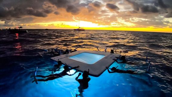 HonoluluExperiences