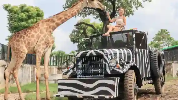大城獅子王動物園+瑪哈泰寺遺址+夜市+全白河畔咖啡廳一日遊