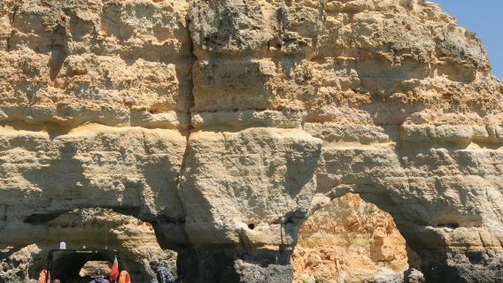 Benagil e osservazione dei delfini: tour in crociera Insónia (semirigido) da Albufeira