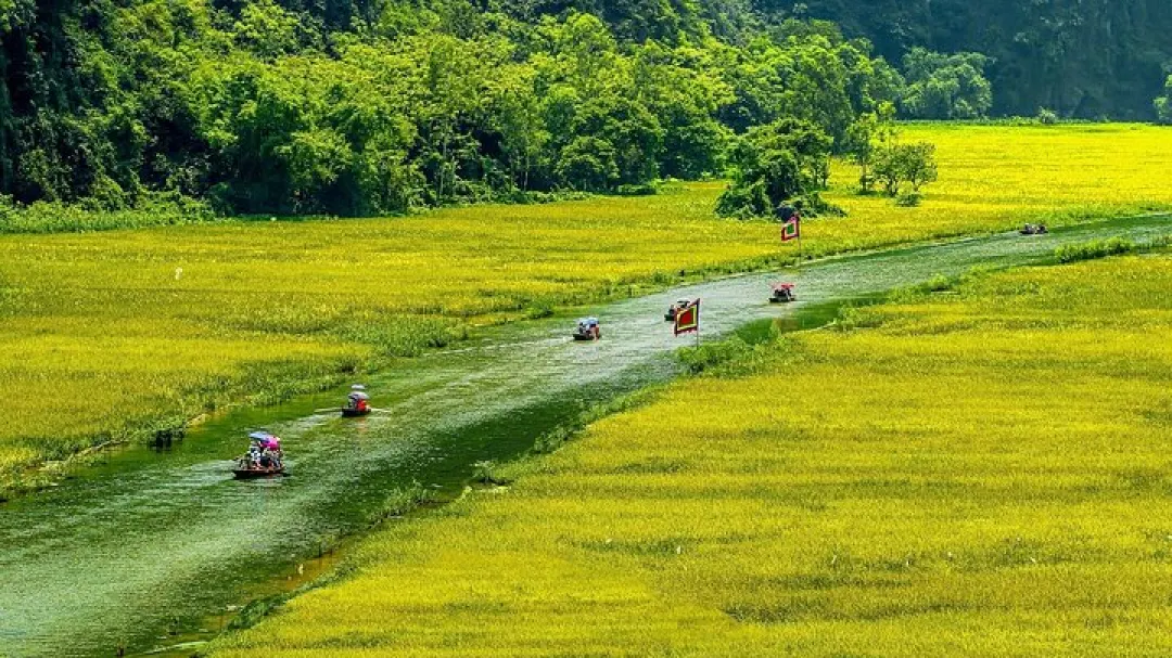 Tam Coc Caves