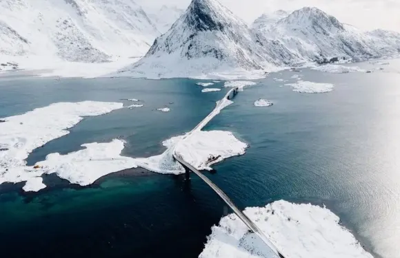 希爾克內斯+Pasvikturist Sightseeing