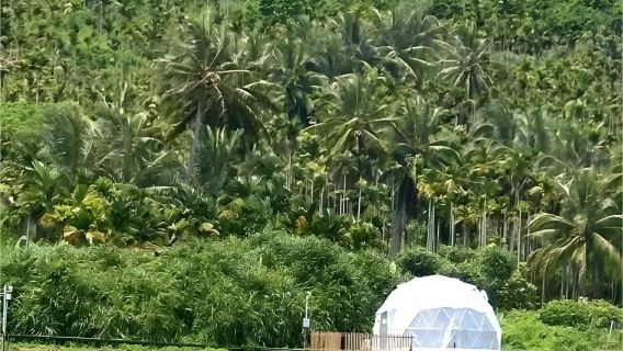 Wanning Shimei Bay + Qiaohai Ranch + Shenzhou Peninsula + Shenzhou Peninsula Tourist Area - Lighthouse + Guanhai Pavilion one-day tour