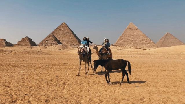 1-day tour to Luxor Temple + Karnak + Valley of the Kings with Chinese and English guide|admission ticket|Lunch