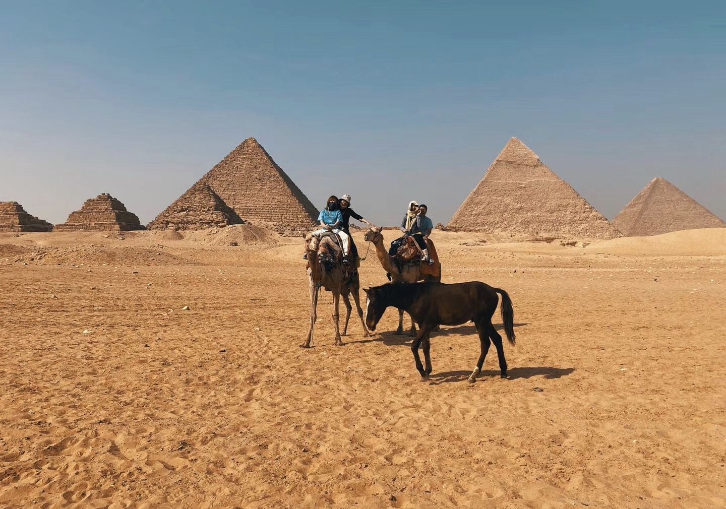 盧克索神廟+卡納克神廟+帝王谷一日遊中英文導遊|門票|午餐】