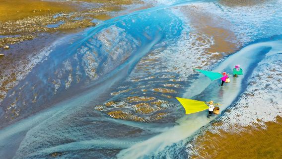 福建霞浦光影棧道【北岐灘塗、楊家溪、小皓灘塗東壁村上門接送】