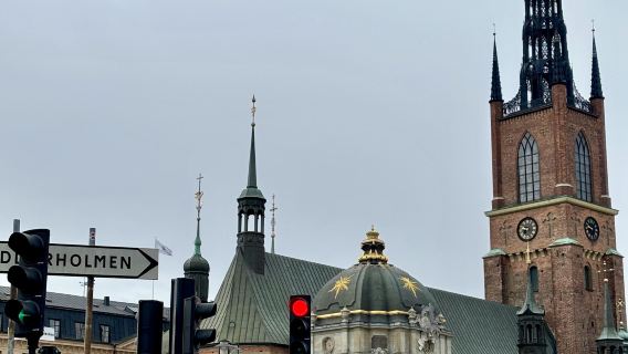 พระราชวังเมืองเก่าสตอกโฮล์ม + โรงละครโอเปร่า + ศาลากลางเมือง ประเทศสวีเดน|ทัวร์วันเดียว/ทัวร์หลายวัน รถเช่าเหมา หนึ่งวันในภาษาจีนและภาษาอังกฤษ