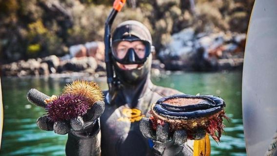 7.5-hour seafood cruise in Hobart, Tasmania (tasting Southern Rock lobster, abalone, salmon, etc.)
