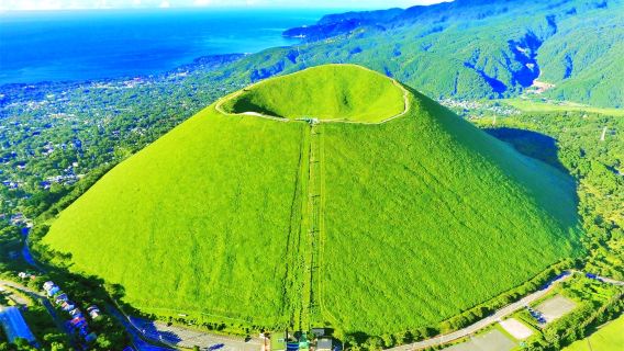 日本東京伊豆一日遊【純玩9人小團|贈觀海列車票|上門接送可選|中文司導|城崎海岸+門脅吊橋+觀海列車+大室山or仙人掌動物園】