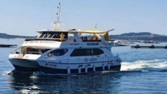 Rías Baixas Cruise: Route of the Mussels