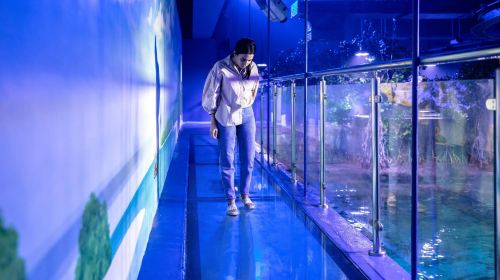 Abu Dhabi Attraction: The National Aquarium Abu Dhabi Day Tours 4