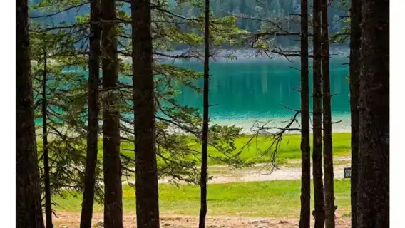 Podgorica + Durmitor National Park + Tara River Canyon + Tara River Bridge