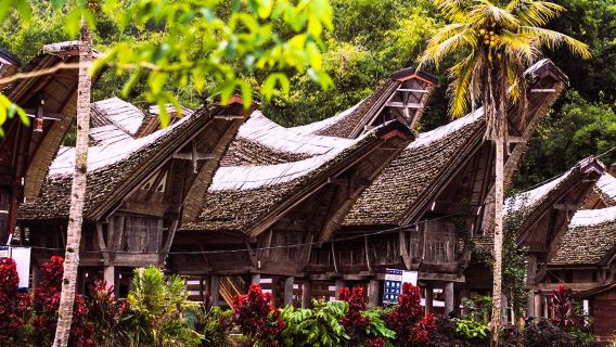 4 Giorni di Tour negli Altopiani di Toraja tra Patrimonio Culturale e Meraviglie Naturali da Makassar