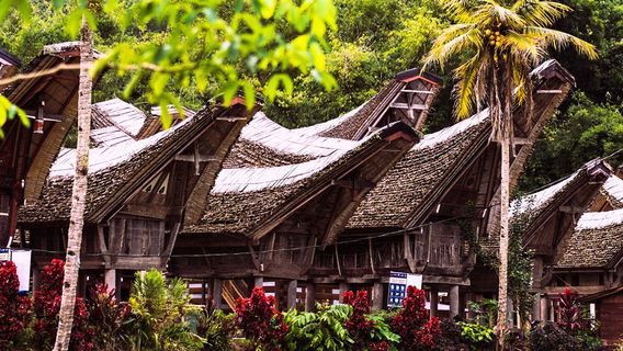 Tana Toraja
