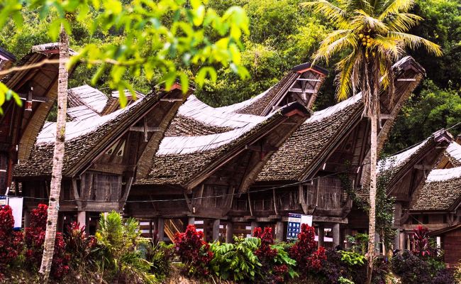 Tour Cao Nguyên Toraja 4 Ngày Khám Phá Di Sản Văn Hóa và Kỳ Quan Thiên Nhiên từ Makassar