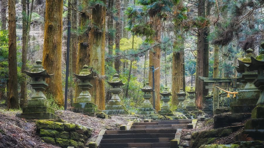 日本福岡祕境神社·阿蘇火山·草千里·黑川溫泉一日遊|熊本來回