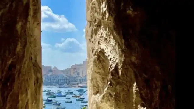 Alexandria Castle/Pompeii's Pillar/Alexandria Library one-day tour