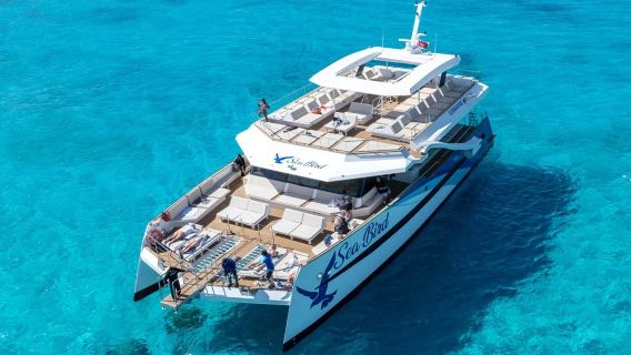 Comino: Blue Lagoon Day Trip
