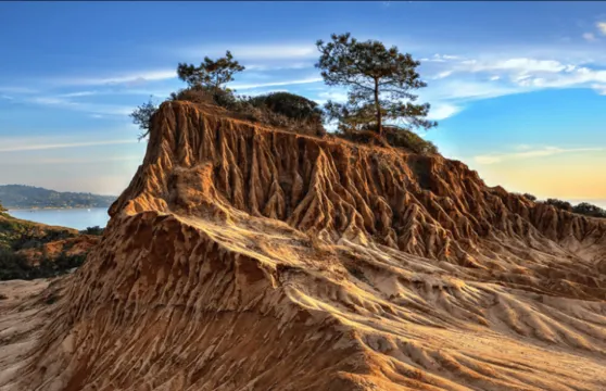 聖地亞哥日遊：拉霍亞海岸+多利松國家保護區+日落懸崖+薯片岩