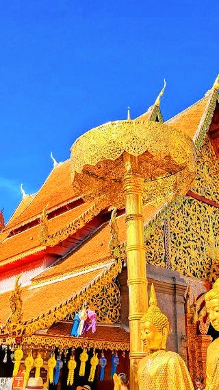 ทัวร์ 1 วัน เหมารถ รถเช่า [หมู่บ้านม้ง, วัดอุโมงค์, มหาวิทยาลัยเชียงใหม่ ฯลฯ]