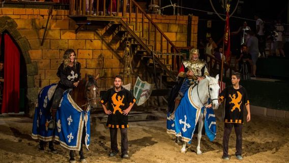 Benidorm: Cena con espectáculo en Magic Robin Hood
