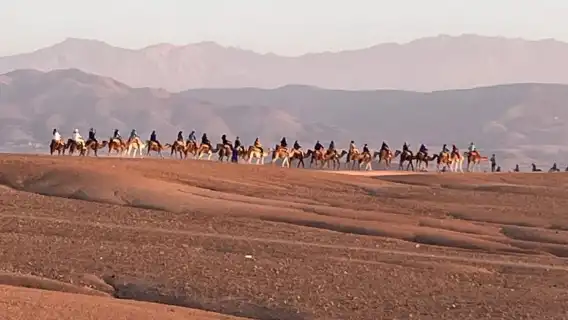 มาร์ราเกช: ขี่อูฐอากาเฟย์ ชมพระอาทิตย์ตกดินและรับประทานอาหารค่ำพร้อมชมการแสดง