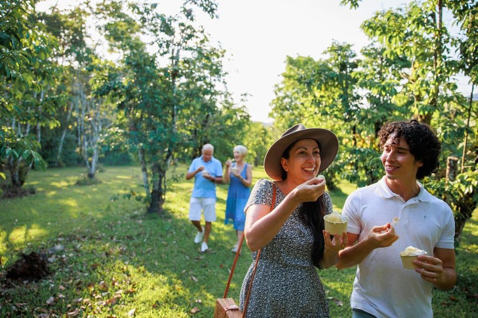 ケアンズ：デインツリー熱帯雨林とケープ・トリビュレーション日帰り旅行