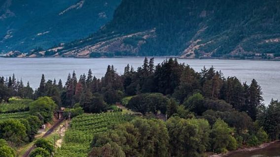 Mt Hood & Columbia River Private tour from Portland