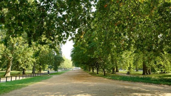 Londra: Pass Hop-On Hop-Off con crociera sul Tamigi di 24 ore