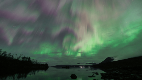 Abisko: caccia guidata all'aurora boreale autunnale con trasferimenti in hotel